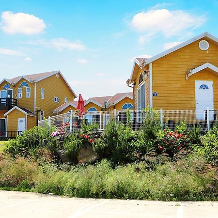 Healing House Villa Seogwipo Bagian luar foto