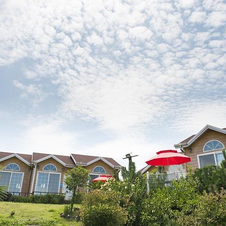 Healing House Villa Seogwipo Bagian luar foto