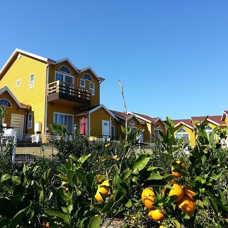 Healing House Villa Seogwipo Bagian luar foto