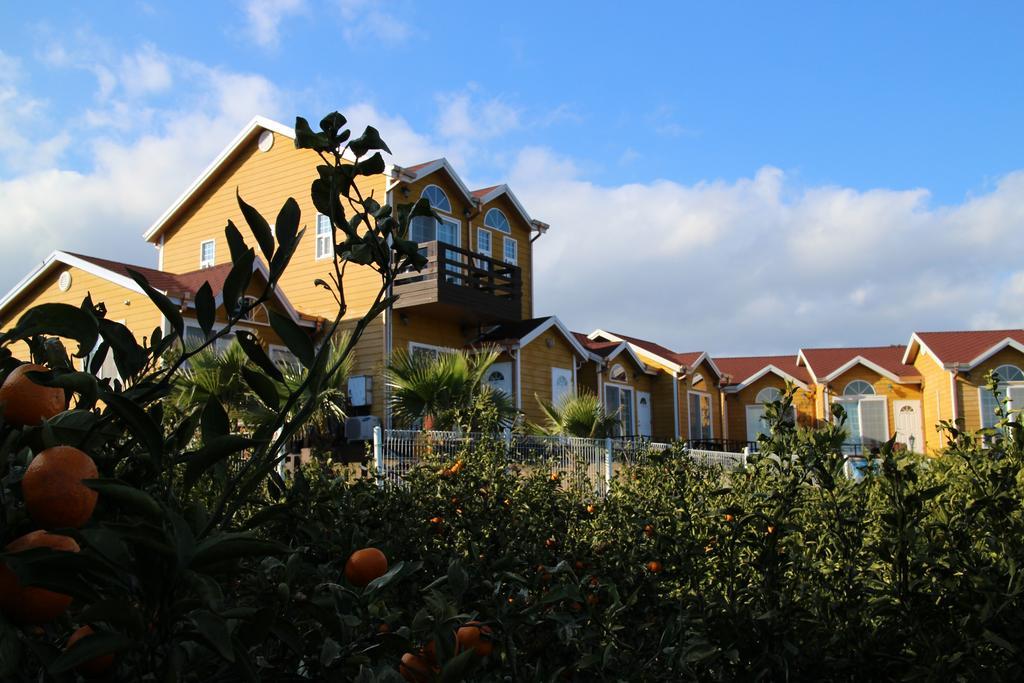 Healing House Villa Seogwipo Bagian luar foto