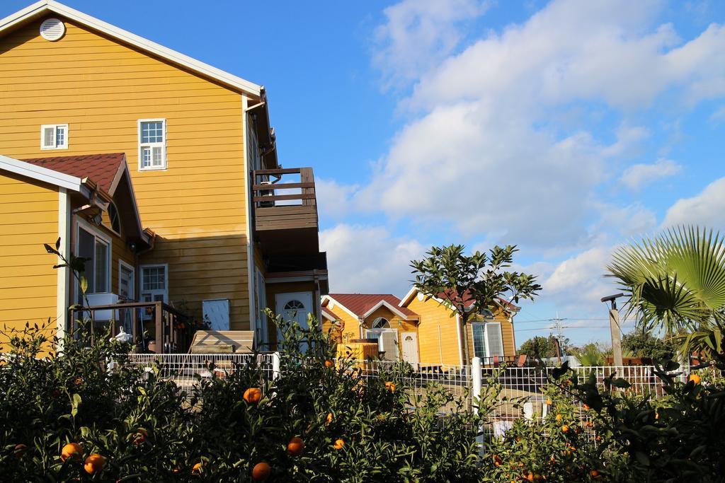 Healing House Villa Seogwipo Bagian luar foto