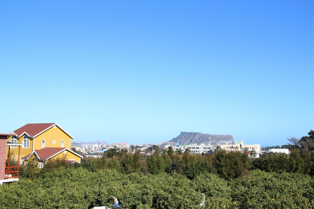 Healing House Villa Seogwipo Bagian luar foto