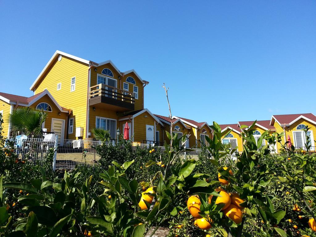 Healing House Villa Seogwipo Bagian luar foto